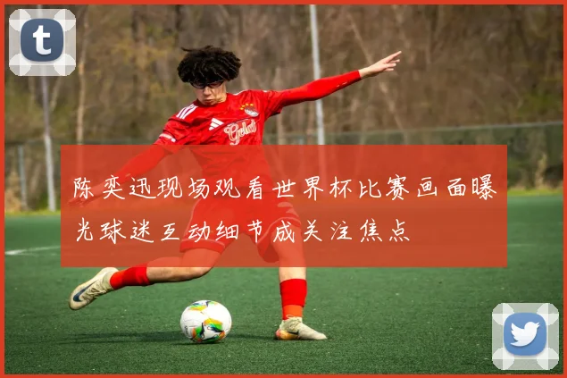 陈奕迅现场观看世界杯比赛画面曝光球迷互动细节成关注焦点