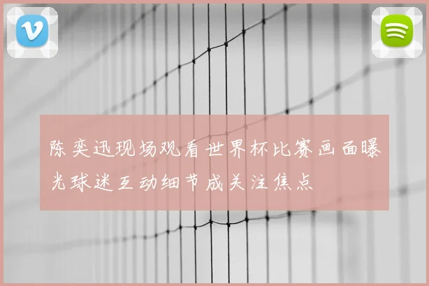 陈奕迅现场观看世界杯比赛画面曝光球迷互动细节成关注焦点
