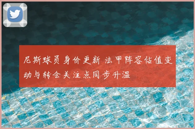 尼斯球员身价更新 法甲阵容估值变动与转会关注点同步升温
