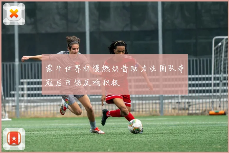 蒙牛世界杯慢燃奶昔助力法国队夺冠后市场反响积极